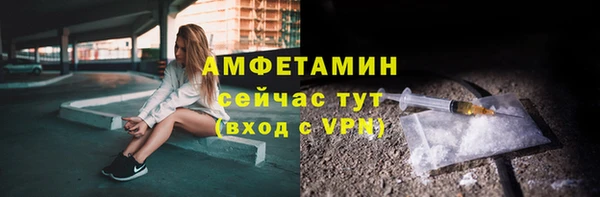 индика Бронницы