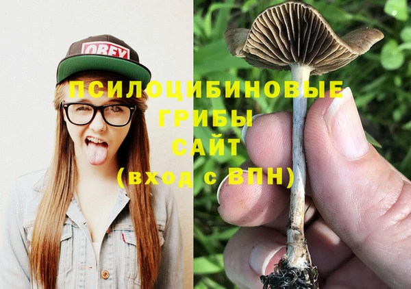 спайс Верея