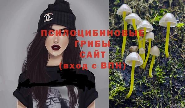 индика Бронницы