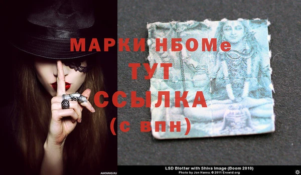 индика Бронницы