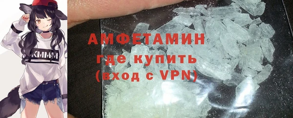 индика Бронницы