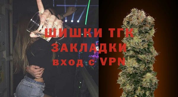 индика Бронницы
