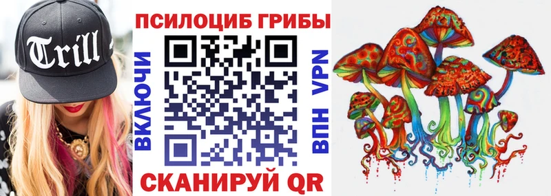 Псилоцибиновые грибы ЛСД  ссылка на мегу ссылки  Кемь 